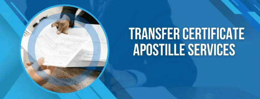 Apostille for Transfer Certificates